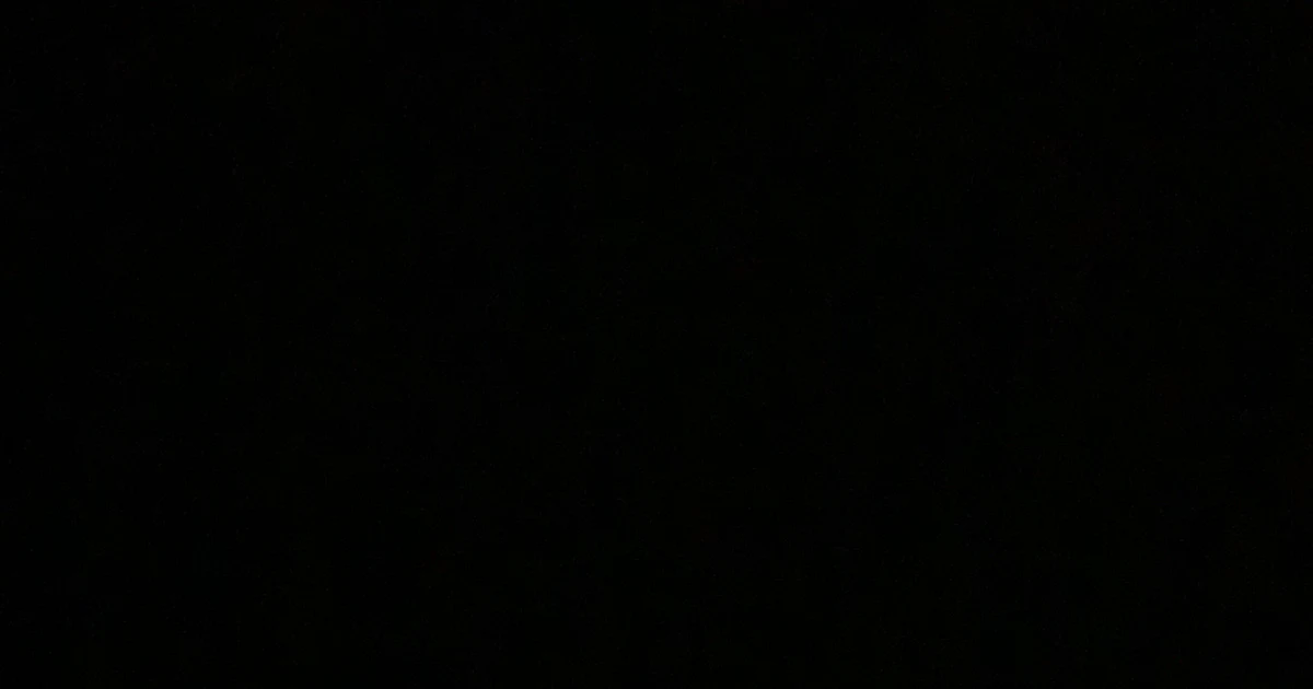 Object Studies Foundation object-studies-foundation